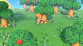Animal Crossing: New Horizons (Nintendo Switch) Б.У.