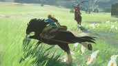 The Legend of Zelda: Breath of the Wild (Nintendo Switch) (Уценка)