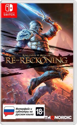 Kingdoms of Amalur: Re-Reckoning (Nintendo Switch)